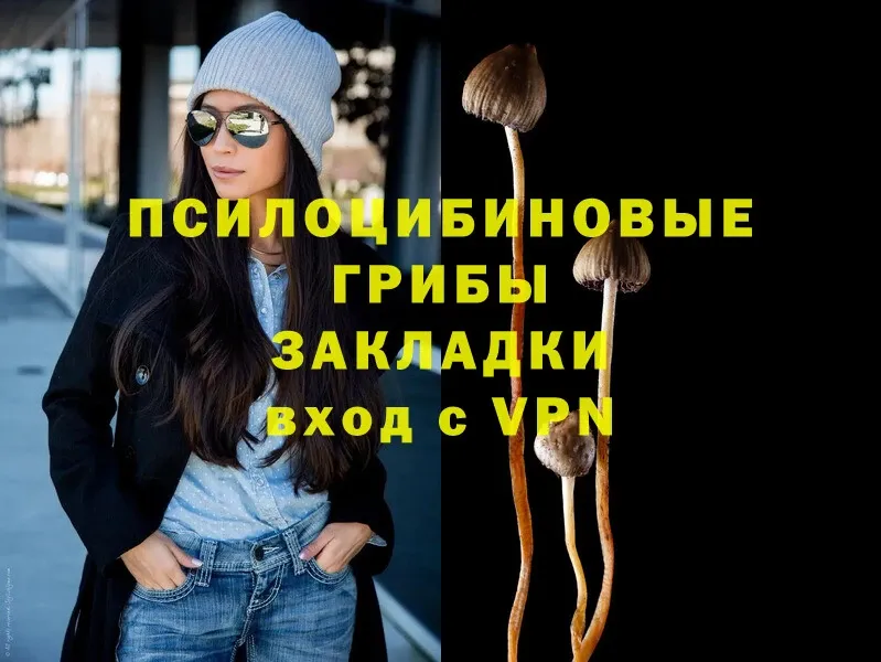 купить наркоту  Нягань  Псилоцибиновые грибы Psilocybe 